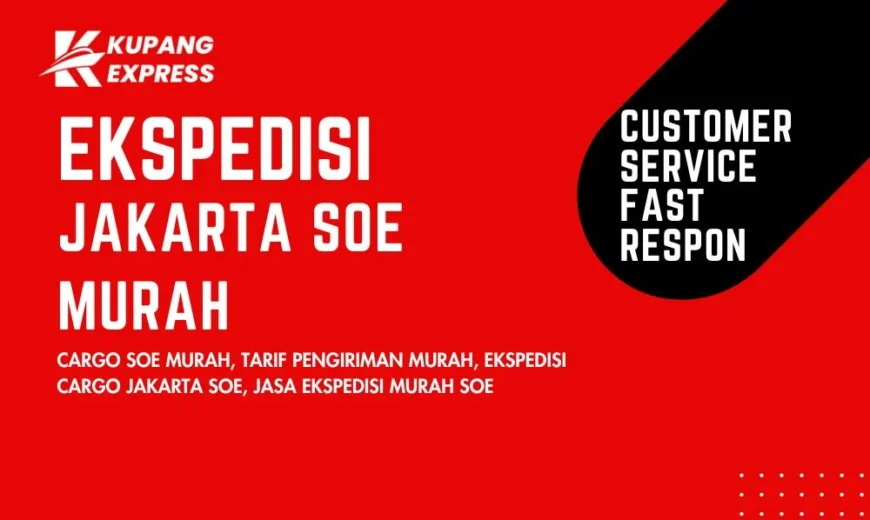 Ekspedisi Jakarta Soe Murah